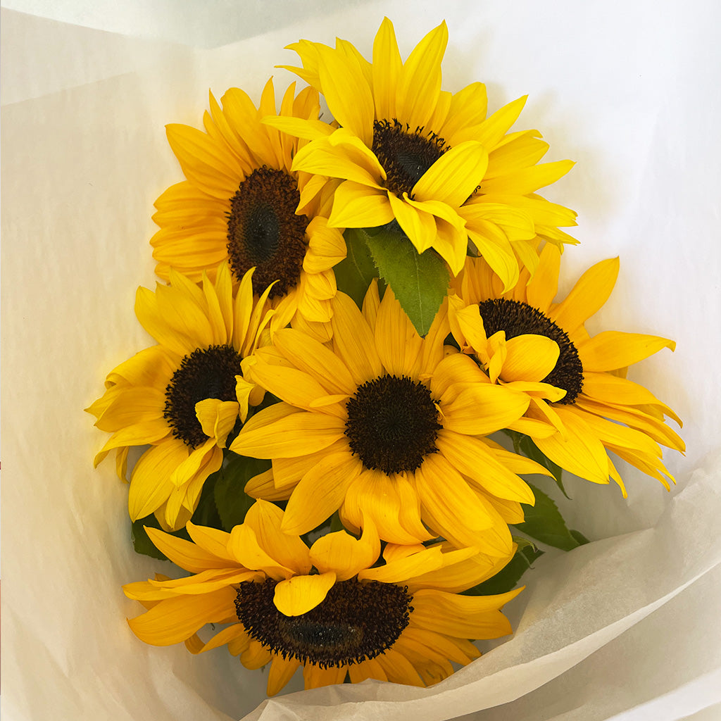 Market Bunch - Sunflowers