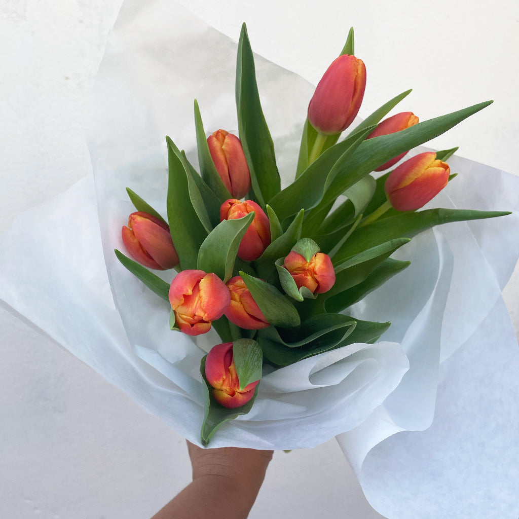 Market Bunch - Tulips*