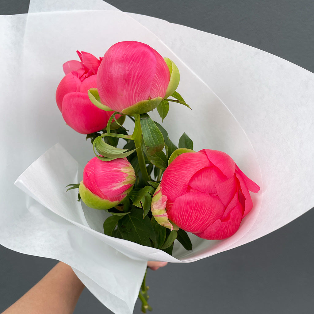 Market Bunch - Peonies