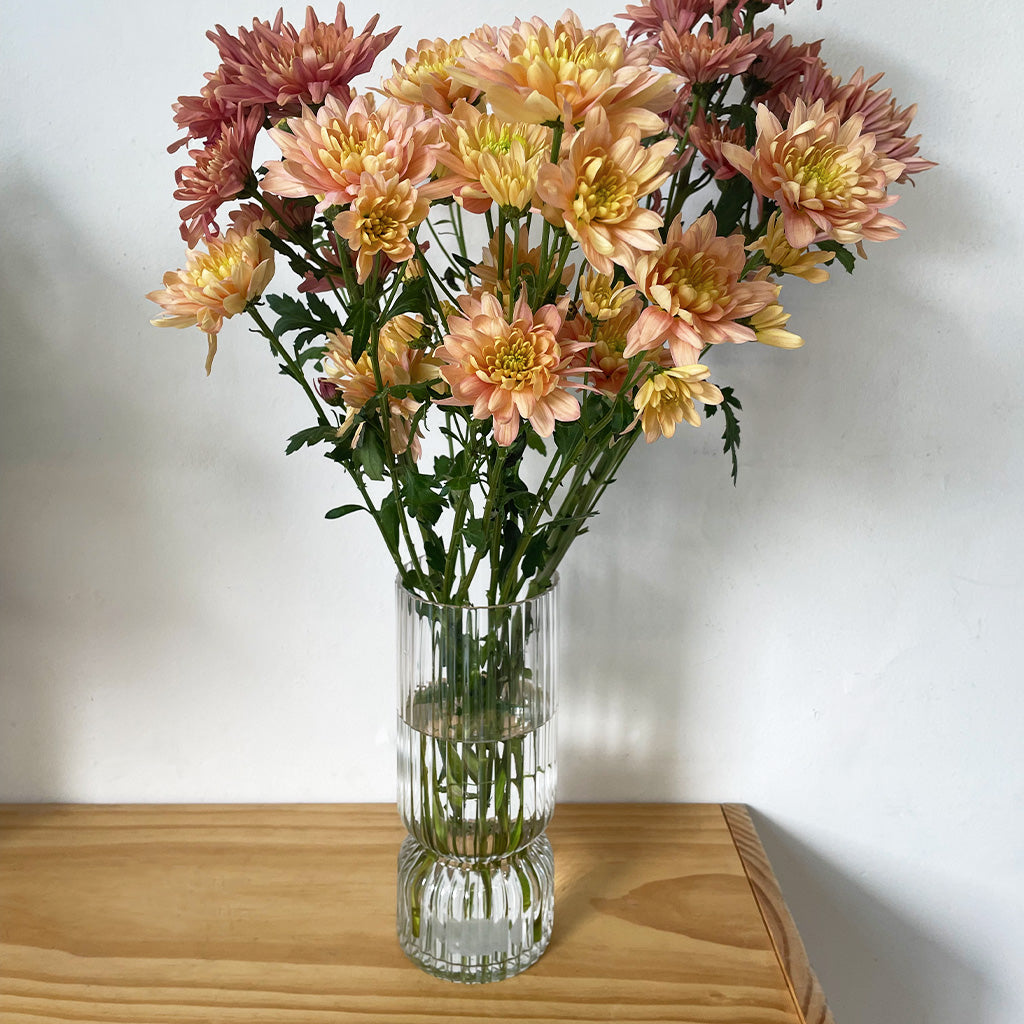 Vase - Ribbed clear cylinder glass (suitable for Small)